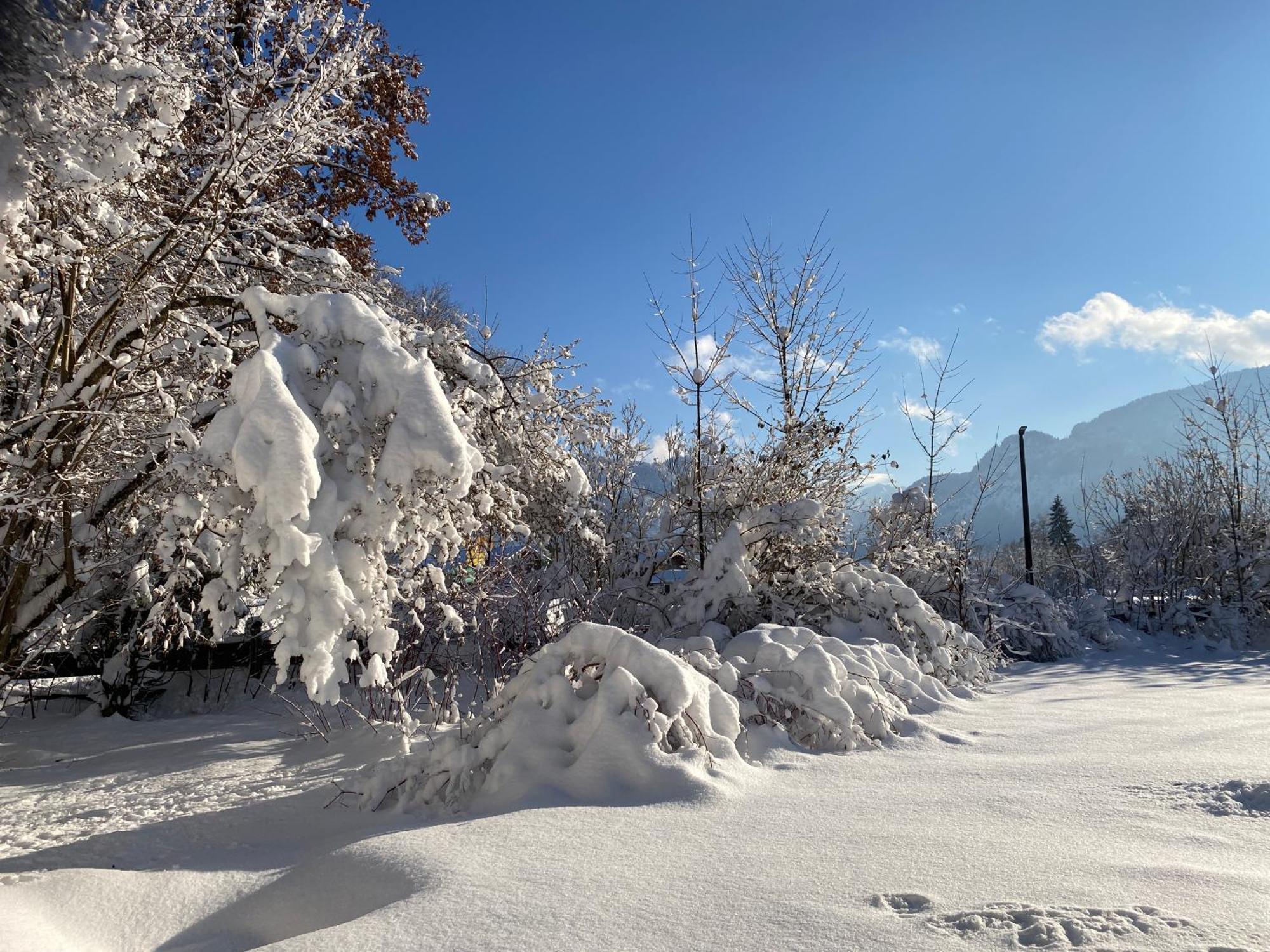Ferienhaus Endroes - Chiemgau Karte Inzell Εξωτερικό φωτογραφία